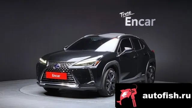 Lexus UX UX250h 2021 года - автомобиль из Южной Кореи