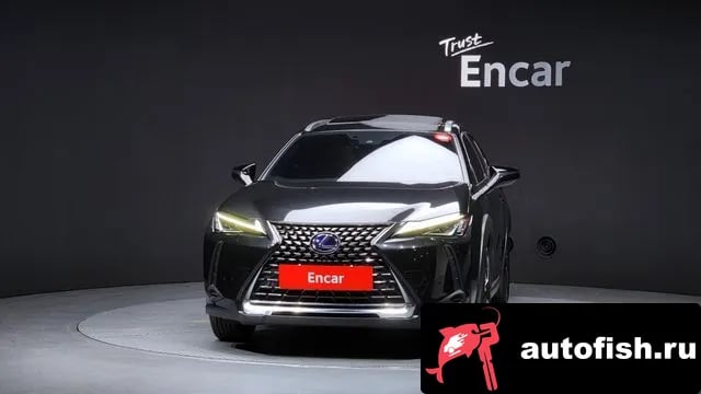 Lexus UX UX250h 2021 года - вид 3
