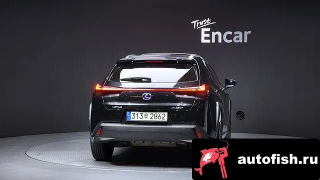 Lexus UX UX250h 2021 года - вид 4