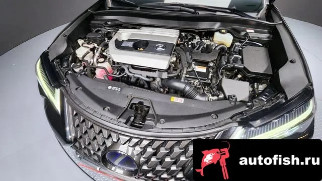 Lexus UX UX250h 2021 года - вид 6