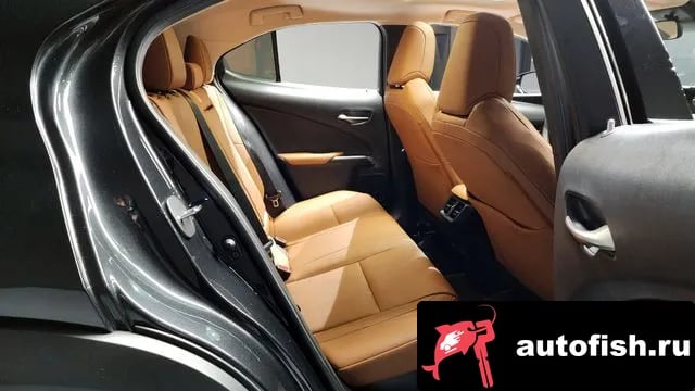 Lexus UX UX250h 2021 года - похожие автомобили