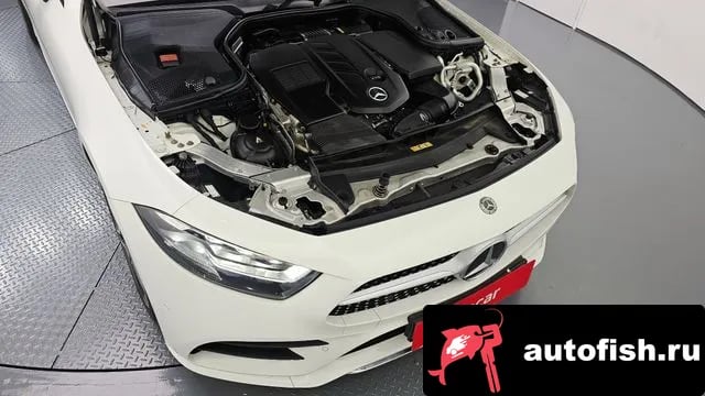 Mercedes-Benz CLS-Class CLS-Class C257 2019 года - вид 6