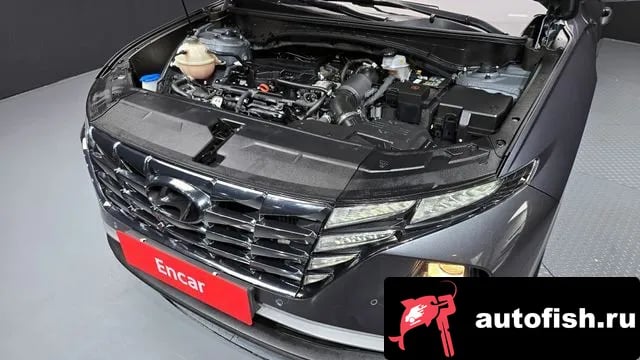 Hyundai Tucson Tucson (NX4) 2022 года - вид 6