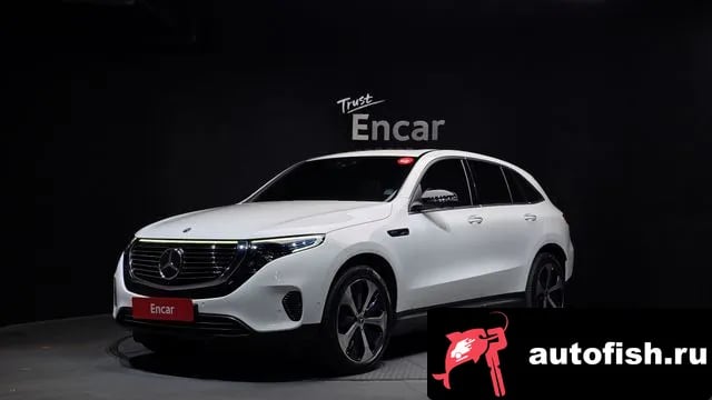 Mercedes-Benz EQC EQC N293 2020 года - вид 1