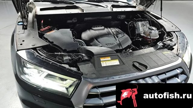 Audi Q5 Q5 (FY) 2020 года - вид 6