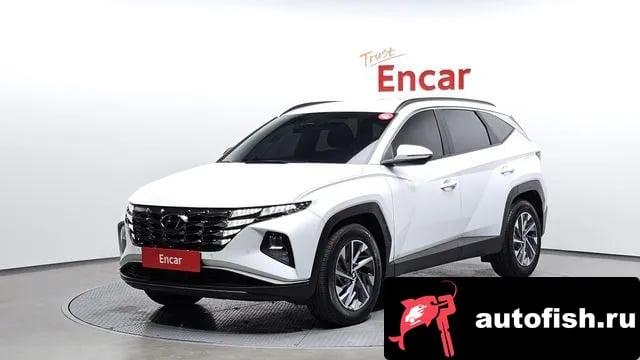 Hyundai Tucson Tucson Hybrid (NX4) 2022 года - вид 1