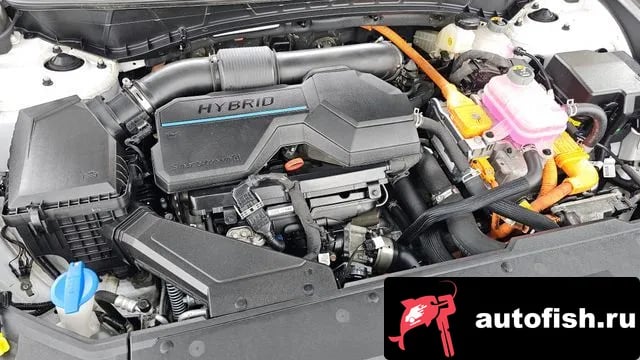 Hyundai Tucson Tucson Hybrid (NX4) 2022 года - вид 6