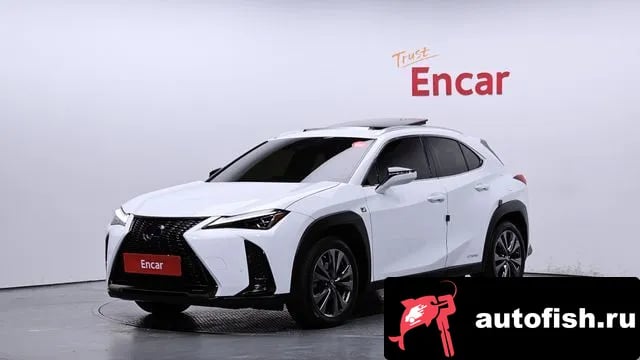 Lexus UX UX250h 2022 года - вид 1