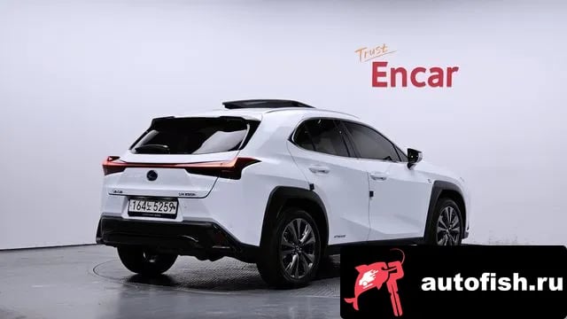 Lexus UX UX250h 2022 года - вид 2