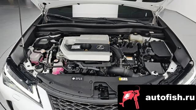 Lexus UX UX250h 2022 года - вид 6