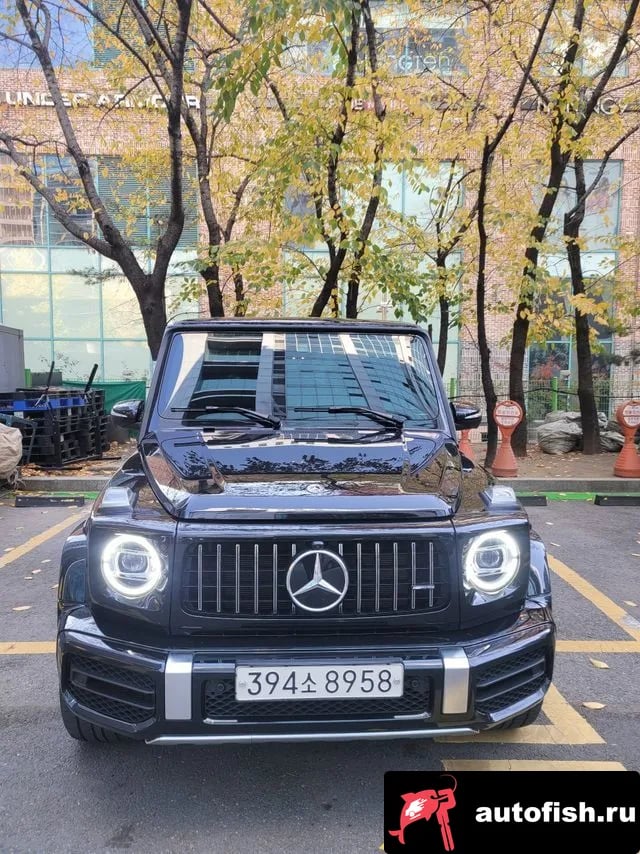 Mercedes-Benz G-Class G-Class W463b 2020 года - вид 1