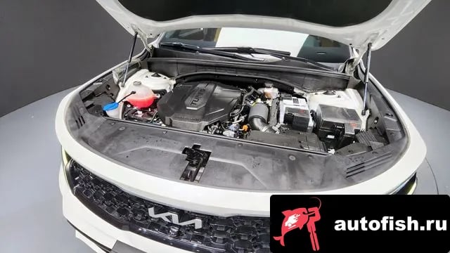 Kia Sorento Sorento 4th Generation 2022 года - вид 6