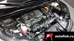 Миниатюра 6