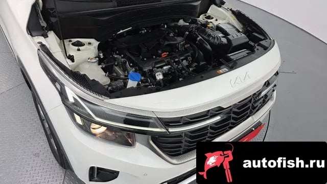 Kia Seltos The New Celtos 2023 года - вид 6