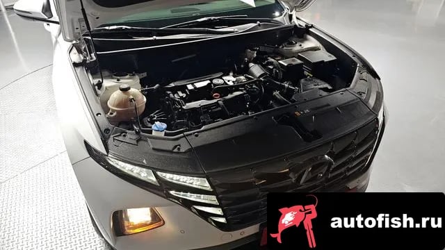 Hyundai Tucson Tucson (NX4) 2023 года - вид 6