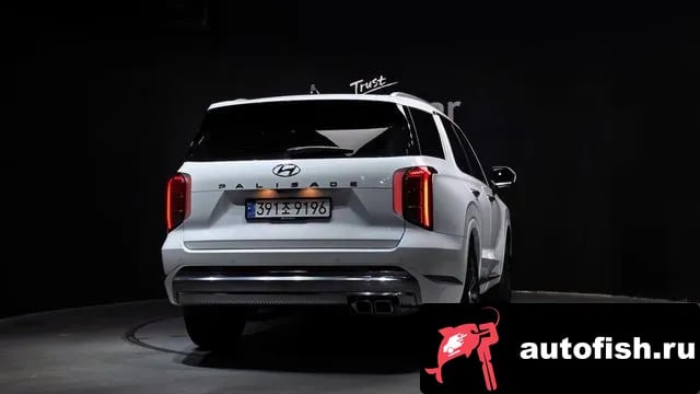 Hyundai Palisade The New Palisade 2024 года - вид 4