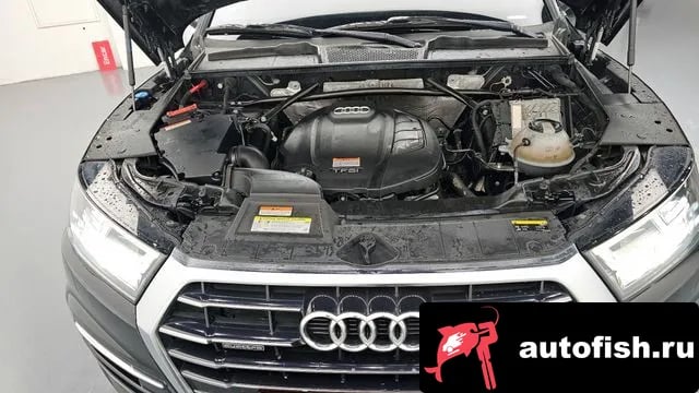 Audi Q5 Q5 (FY) 2020 года - вид 6