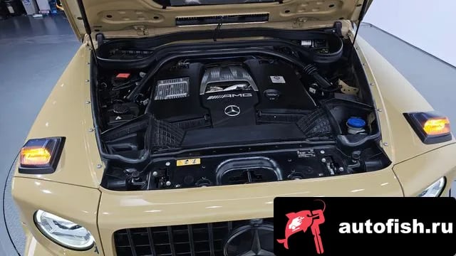 Mercedes-Benz G-Class G-Class W463b 2020 года - вид 6