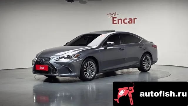 Lexus ES ES300h 7th generation 2020 года - вид 1