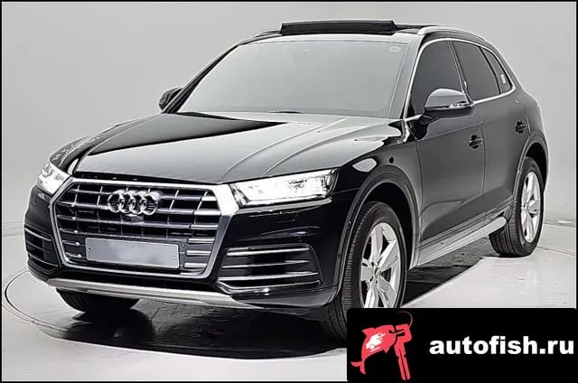 Audi Q5 Q5 (FY) 2020 года - вид 1