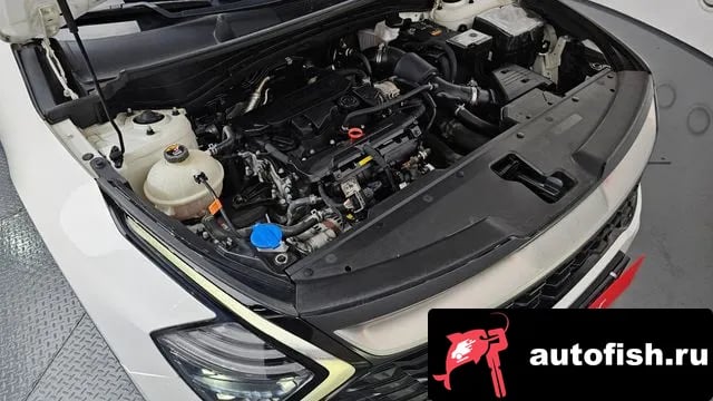 Kia Sportage Sportage 5th Generation 2023 года - вид 6