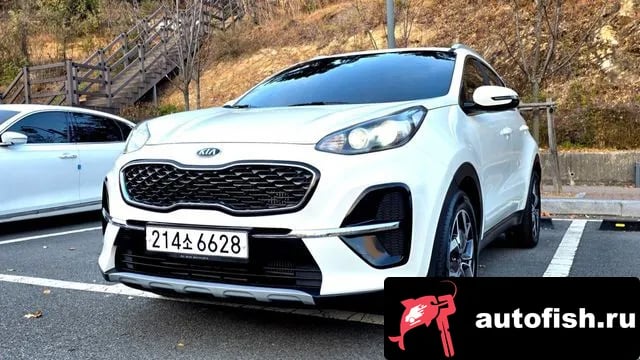 Kia Sportage Sportage The Bold 2020 года - похожие автомобили