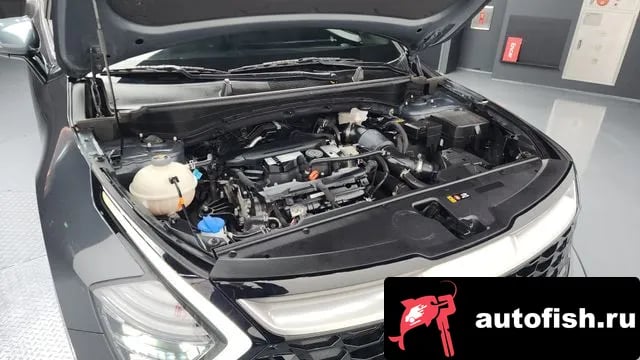 Kia Sportage Sportage 5th Generation 2022 года - вид 6