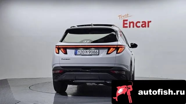 Hyundai Tucson Tucson (NX4) 2020 года - вид 4
