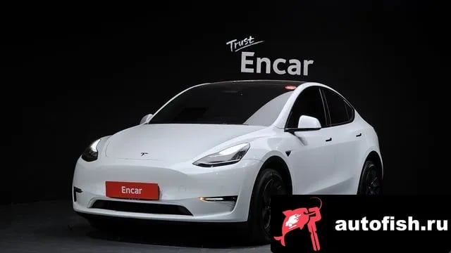 Tesla Model Y Model Y 2022 года - автомобиль из Южной Кореи