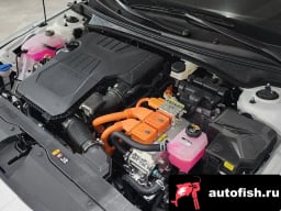 Миниатюра 6