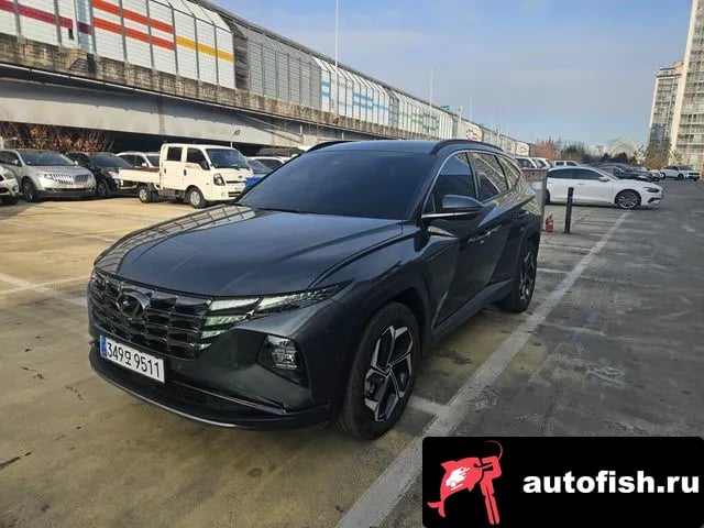 Hyundai Tucson Tucson Hybrid (NX4) 2023 года - вид 1