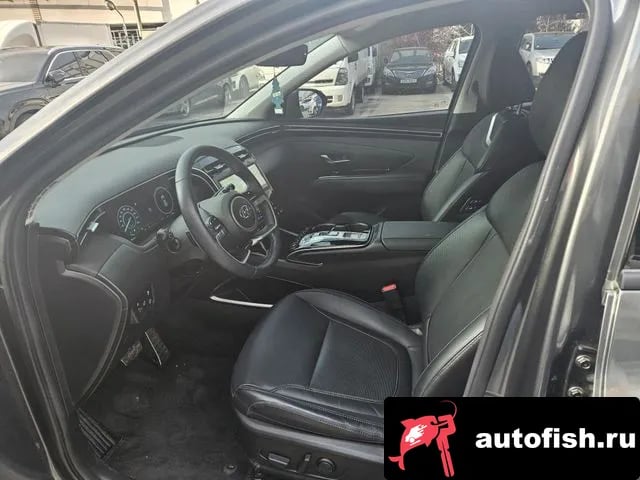 Hyundai Tucson Tucson Hybrid (NX4) 2023 года - вид 5