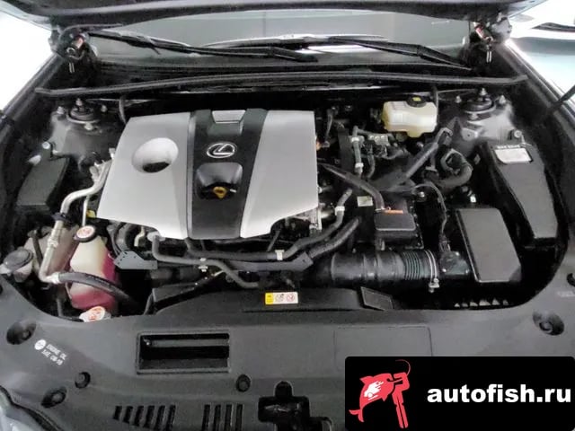 Lexus ES ES300h 7th generation 2019 года - вид 6