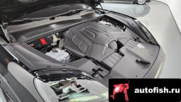 Миниатюра 6