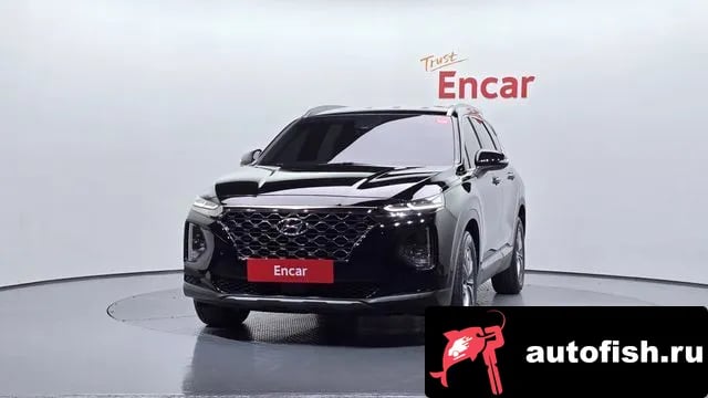 Hyundai Santafe San Tafe TM 2019 года - вид 3