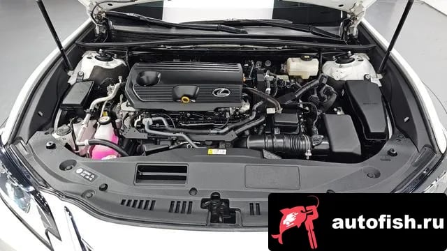 Lexus ES ES300h 7th generation 2023 года - вид 6