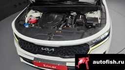 Миниатюра 6