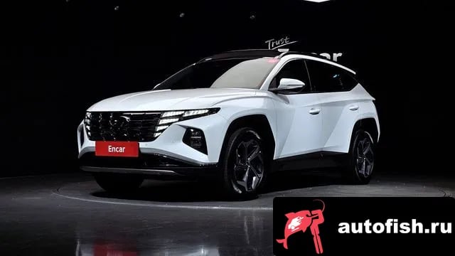 Hyundai Tucson Tucson (NX4) 2023 года - вид 1