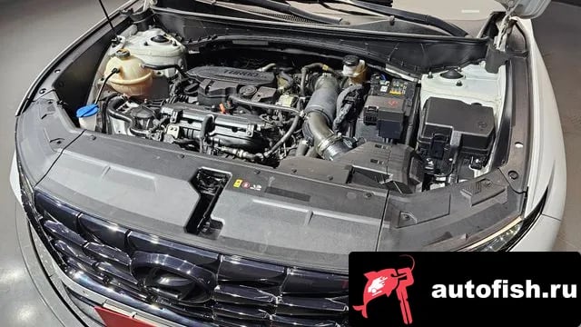 Hyundai Tucson Tucson (NX4) 2023 года - вид 6