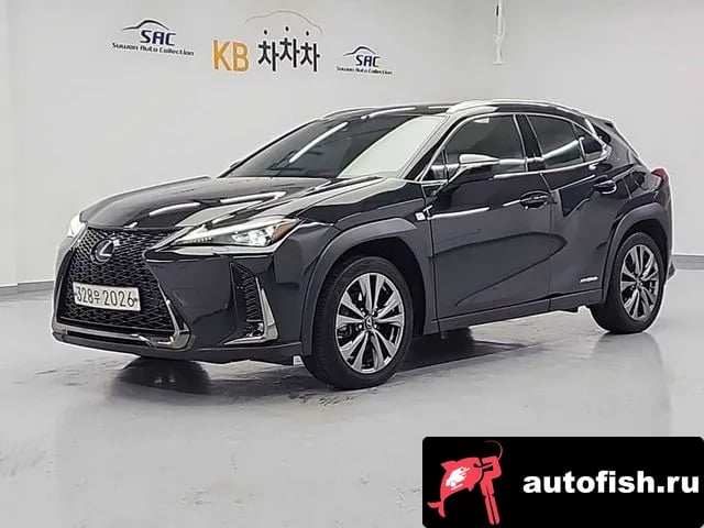Lexus UX UX250h 2020 года - вид 1