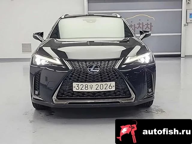 Lexus UX UX250h 2020 года - вид 2