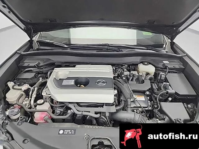 Lexus UX UX250h 2020 года - вид 5