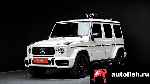 Mercedes-Benz G-Class G-Class W463b 2020 года - вид 1