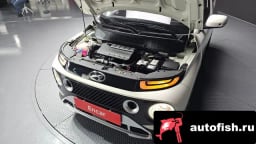 Миниатюра 6