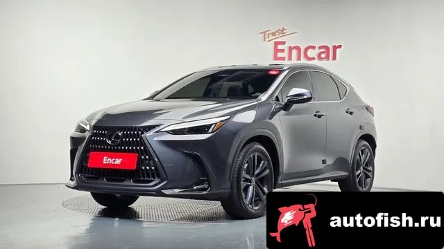 Lexus NX NX350h Second generation 2024 года - автомобиль из Южной Кореи