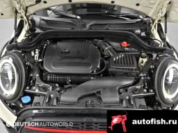 Миниатюра 6