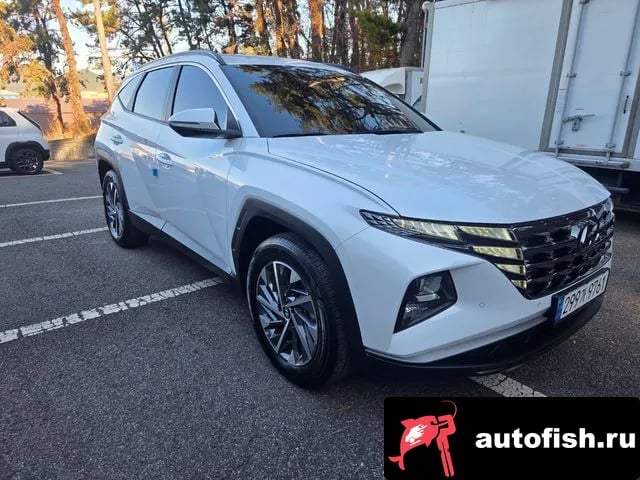 Hyundai Tucson Tucson (NX4) 2023 года - вид 2