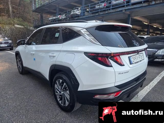 Hyundai Tucson Tucson (NX4) 2023 года - вид 6