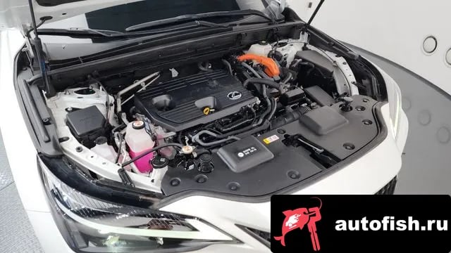 Lexus NX NX350h Second generation 2022 года - вид 6