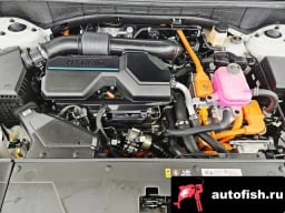 Миниатюра 6